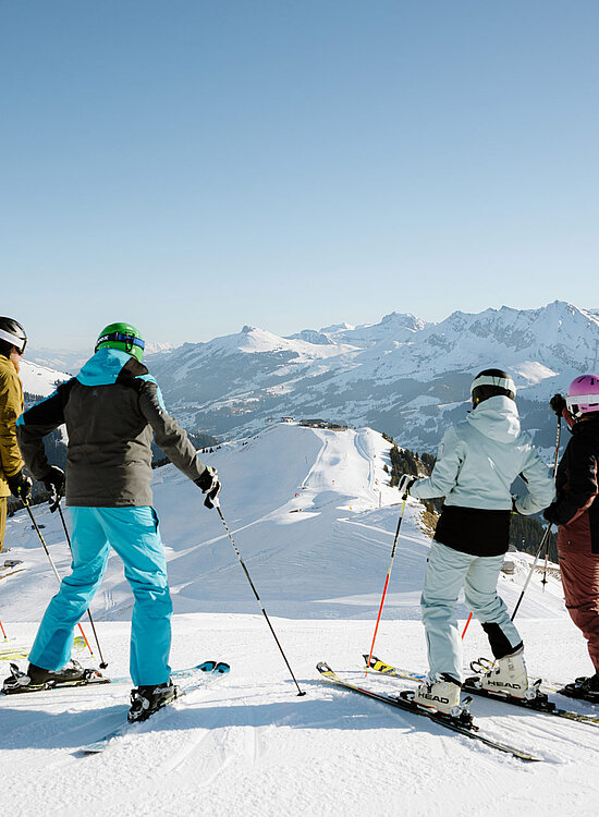 <p>Vier Skifahrer bewundern Aussicht</p>