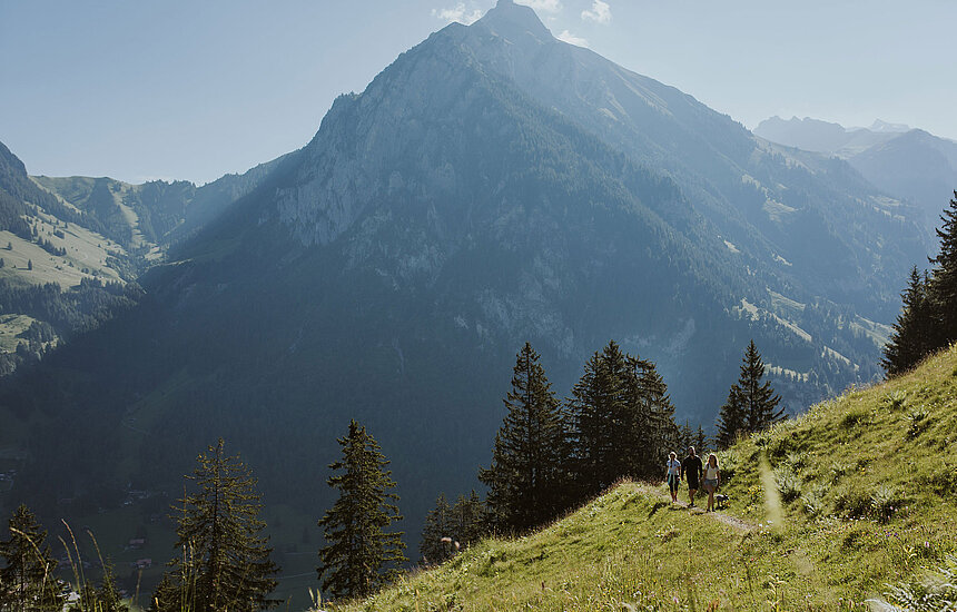 <p>Drei Wanderer und ein Hund wandern, im Hintergrund eine Berglandschaft.</p>